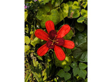 Load image into Gallery viewer, Reborn Free Double Daisies