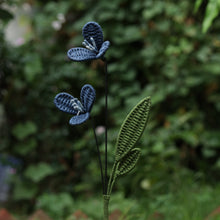 Load image into Gallery viewer, Daffodil