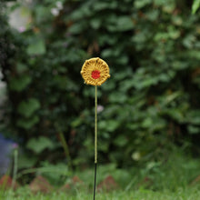 Load image into Gallery viewer, Cosmos