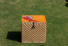 Load image into Gallery viewer, Reborn Free Fish Bundle box