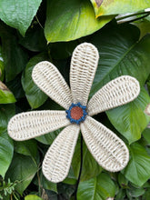 Load image into Gallery viewer, Reborn Free African Daisy