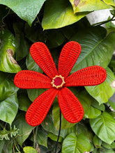 Load image into Gallery viewer, Reborn Free African Daisy