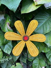 Load image into Gallery viewer, Reborn Free African Daisy