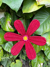 Load image into Gallery viewer, Reborn Free African Daisy