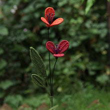 Load image into Gallery viewer, Daffodil
