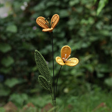 Load image into Gallery viewer, Daffodil
