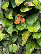 Load image into Gallery viewer, Reborn Free Sadabahaar flower stick
