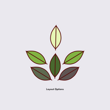 Load image into Gallery viewer, Rang Leela - BELPHOOL
